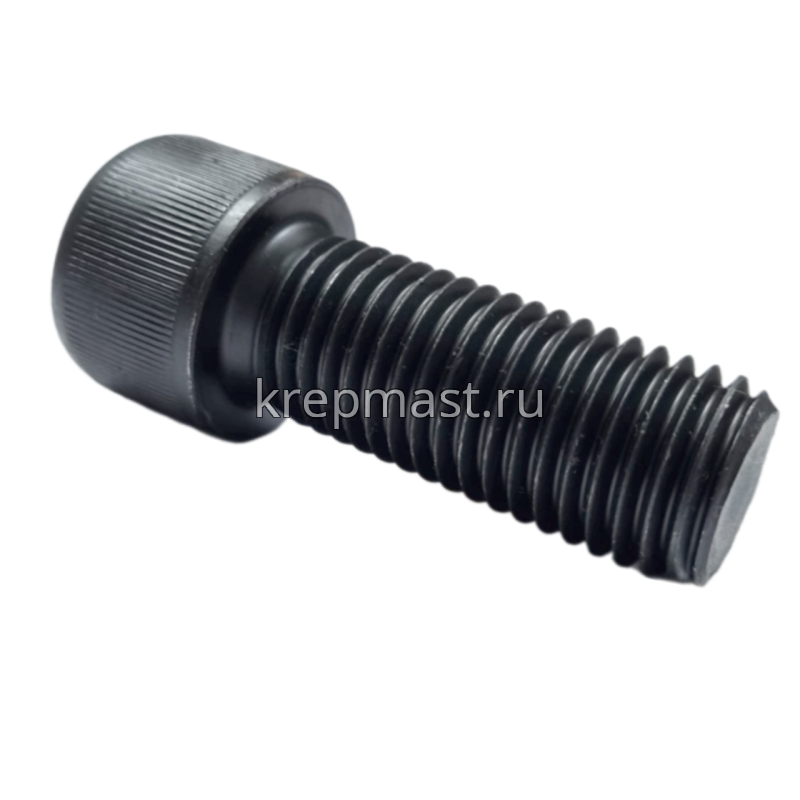 Винт с внутр.шестигранником 24 х 60 черный кл.пр.12,9 DIN 912