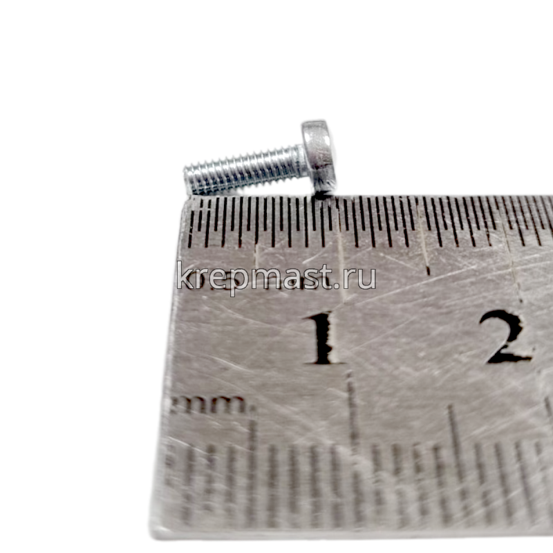 Винт п/цил 2,5х 8 DIN 7985