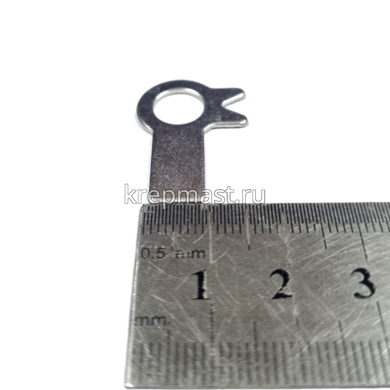 Шайба стопорная ф. 8 ГОСТ 13463 оц. с 2-я лапками