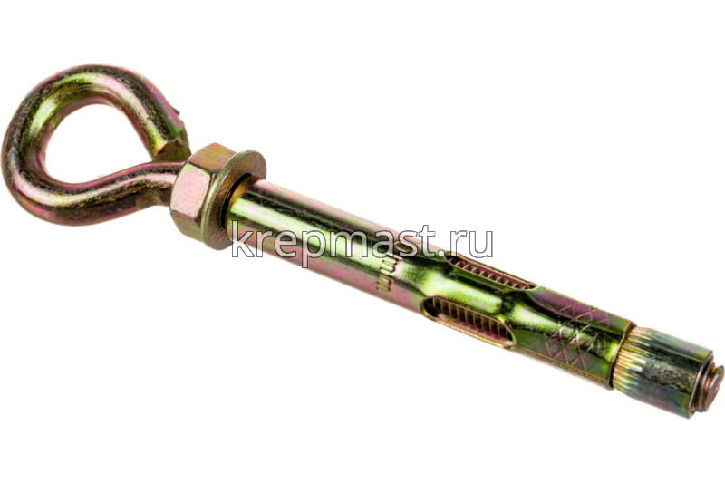 Анкерный болт с кольцом 10х 80