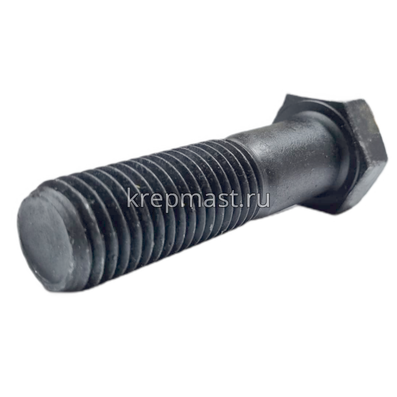 Болт 24х 90 кл.пр.10,9 черный н/р DIN 931