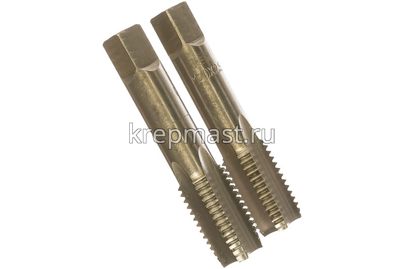 Метчик ВИЗ м/р 20 х 2,5 (комплект 2шт)