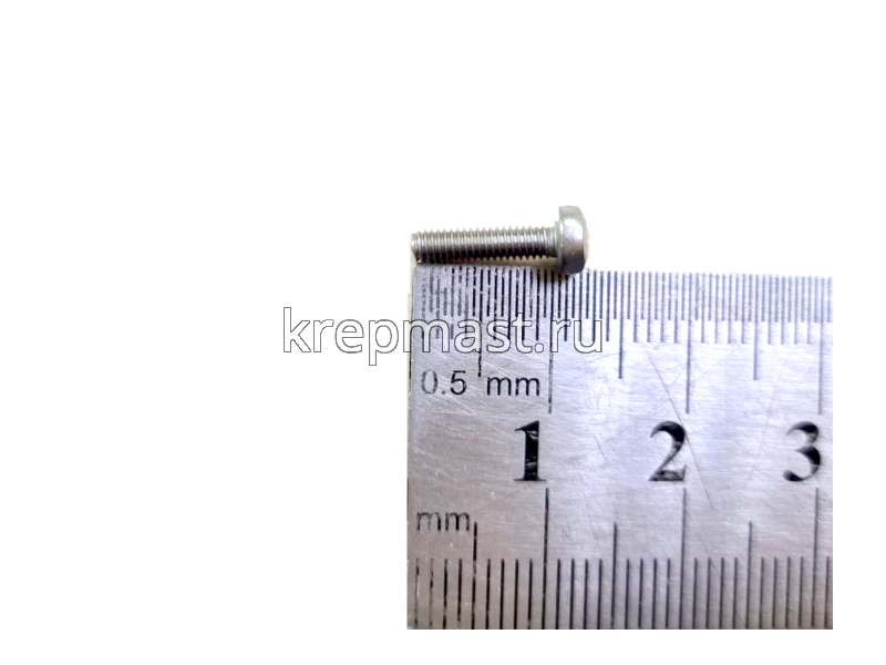 Винт 2,5х10 п/цил DIN 7985 нерж A2 Z