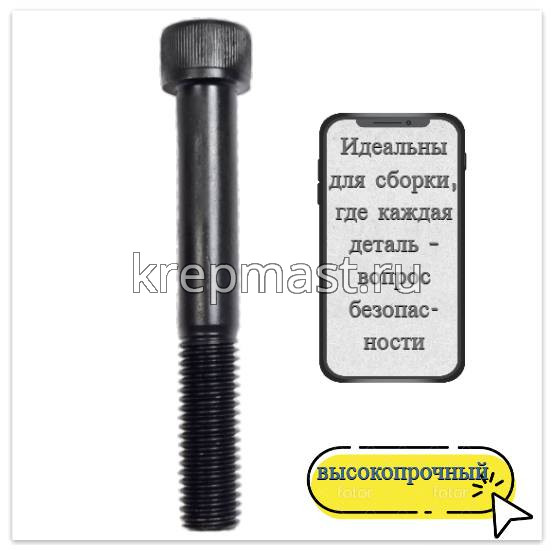 Винт с внутр.шестигранником 14 х100 черный кл.пр.12,9 н/р DIN 912