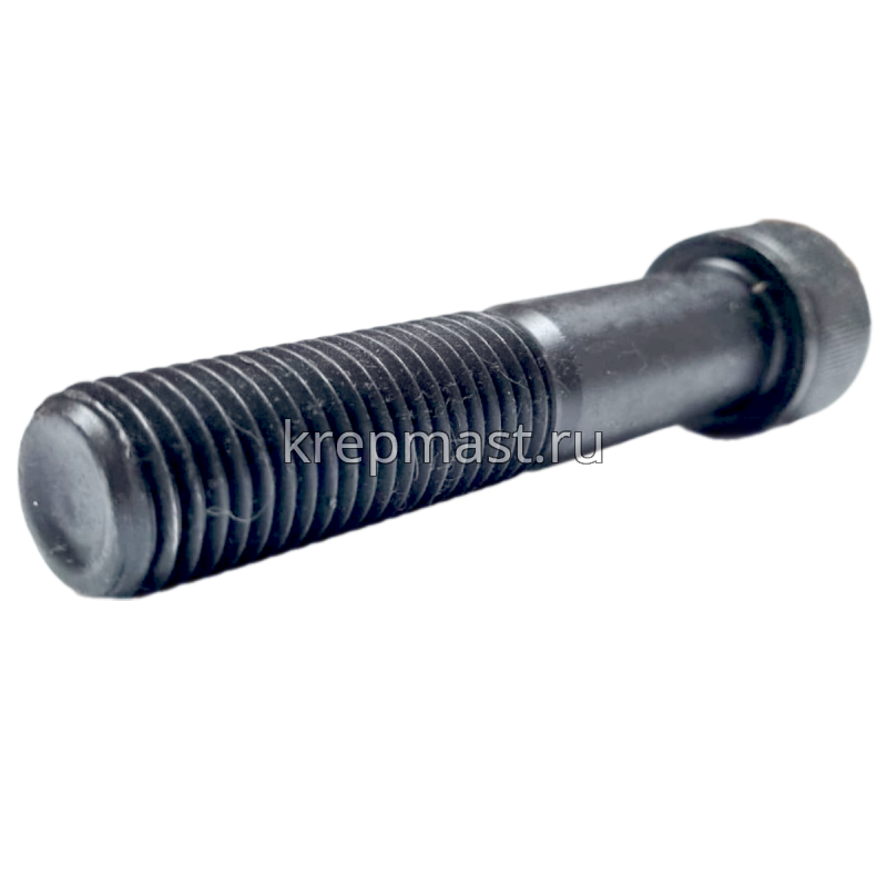 Винт с внутр.шестигранником 20 х100 черный кл.пр.12.9 н/р DIN 912